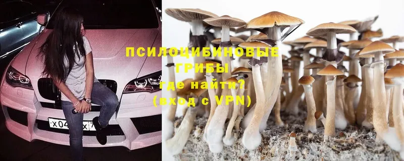 MEGA   Аткарск  Псилоцибиновые грибы Psilocybe  купить  